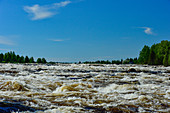 View of the rapids in the Torneälv, Pajala, Norrbotten County, Sweden