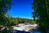 Violent rapids in the Torneälv, near Pajala, Norrbotten County, Sweden