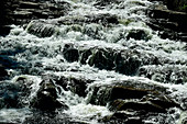 Rushing water in a rapids in Österdalälven, near Älvdalen, Dalarna, Sweden