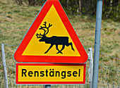 Verkehrsschild Wildwechsel/Renstängsel, Ytterturingen, Härjedalen, Schweden