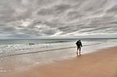 Lone mudflat on Albertstrand, Knokke-Heist, Belgium