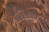 Petroglyphe vom Bison am Newspaper Rock im Indian Creek National Monument, ehemals Teil des Bears Ears National Monument, Süd-Utah, USA