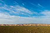 A herder ger camp in front of the Hongoryn Els sand dunes in the Gobi Desert in southern Mongolia.