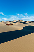 A Mongolian herder is riding with Bactrian camels in the Hongoryn Els sand dunes in the Gobi Desert, Gobi Gurvansaikhan National Park in southern Mongolia.