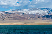 Der Shar-Nurr-See mit Singschwänen (Cygnus cynus) und das Altai-Gebirge in der Nähe der Stadt Ulgii (Ölgii) in der Provinz Bajan-Ölgii in der westlichen Mongolei