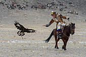 Der Adlerrufwettbewerb (nachdem der Adler von einem Berggipfel freigelassen wurde, landet er auf der Hand des Jägers) beim Golden Eagle Festival in der Nähe der Stadt Ulgii (Ölgii) in der Provinz Bajan-Ölgii in der Westmongolei