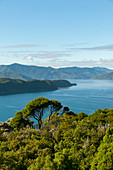 Blick von der Insel Motuara über die Fjordlandschaft der Marlborough Sounds der Südinsel in Neuseeland