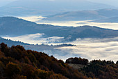 Ukraine, Zakarpattia region, Carpathians, Borzhava, Fog over mountain landscape