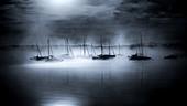 Boats in the harbor of Seeshaupt in the morning fog, black and white, Bavaria, Germany