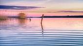 Sonnenaufgang am Starnberger See, Bayern, Deutschland