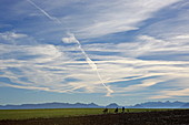 Sunday walk under the foehn sky, near Feldkirchen-Westerham with a view of the Alps, Upper Bavaria, Bavaria, Germany