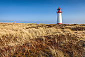 Dünenlandschaft mit Leuchtturm List-West im Naturschutzgebiet Ellenbogen, Sylt, Schleswig-Holstein, Deutschland