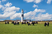 Langer Christian lighthouse in Kampen, Sylt, Schleswig-Holstein, Germany