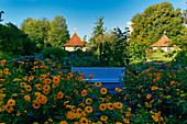 Parkbank und Blumen auf der Freundschaftsinsel, Potsdam, Land Brandenburg, Deutschland