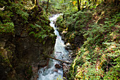 Wildbach Ramsauer Ache, Ramsau, Berchtesgadener Land, Oberbayern, Deutschland