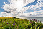 Hiking trail steep coast Dazendorf, Baltic Sea, Ostholstein, Schleswig-Holstein, Germany