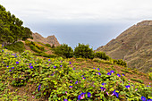 Landscape at the hiking trail from Las Carboneras to Chinamada in the Anaga Mountains, Tenerife, Spain