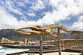 Whale skeleton at the &quot;Charco Los Chochos&quot; seawater basin in the north-west of Tenerife, Spain