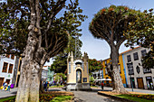 Fußgängerzone im historischen Zentrum von San Cristobal de la Laguna, Teneriffa, Spanien