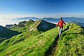 Woman hiking climbs over meadow ridge to Monte Pavione, Monte Pavione, Belluno Dolomites, Belluno Dolomites National Park, UNESCO World Heritage Dolomites, Veneto, Veneto, Italy