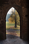 Archway in the Chorin monastery, autumn impressions
