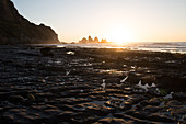 Sonnenuntergang am Motukieki Beach an der Westküste (West Coast) in Neuseeland