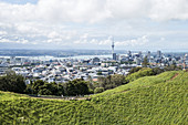 Mount Eden ist ein inaktiver Vulkan in Auckland, Neuseeland