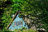 Eine Reetdachkate im Frühling, Geestland, Landkreis Cuxhaven, Niedersachsen, Deutschland