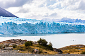 Argentina,Patagonia,Santa Cruz province,Los Glaciares National Park,Perito Moreno Glacier