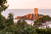 Die île d'Or, eine Privatinsel im Osten der Stadt Saint-Raphaël, bei Sonnenaufgang vom Cap Dramont aus gesehen, Departement Var, Region Provence-Alpes-Côte d'Azur, Frankreich