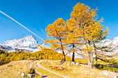 Monte Leone, Alpe Veglia, Veglia Devero Natural Park, Ossola,  province of Verbano Cusio Ossola, Piedmont, Italian alps, Italy