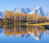 Grandes Jorasses and Dent du Geant are reflected on Arpy Lake, Valdigne, Aosta Valley, Italian alps, Italy