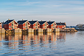 Traditional red houses at sunset in winter. Henningsvaer, Nordland county, Northern Norway region, Norway.