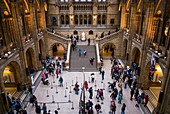 England, London, South Kensington, Natural History Museum, interior