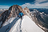 MOUNTAIN CLIMBER CLIMBING THE SUMMIT RIDGE OF  THE ZUMSTEINSPITZE AND DUFOURPITZE WITH MONTE ROSA IN THE BACKGROUND, GRESSONEY-LA-TRINITE, VAL D'AOSTE, ITALY