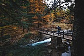 Wanderer Überquert einen Fluss Über Eine Holzbrücke, Herbstliche Farben, Mercantour-Nationalpark, Saint-Martin-Vesubie, Provence-Alpes-Côte-D'azur, Alpes-Maritimes, Frankreich