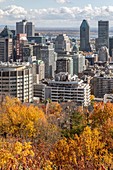 Herbstfarben im Mont-Royal Park und Blick auf Das Geschäftsviertel der Stadt Montreal, Quebec, Kanada