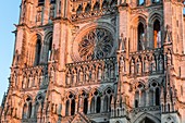 Die Kathedrale Notre Dame D'amiens, Somme, Picardy, Hauts-De-France, Frankreich