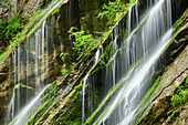 Wasser fließt über bemooste Felsen hinab, Wimbachklamm, Berchtesgadener Alpen, Berchtesgaden, Nationalpark Berchtesgaden, Oberbayern, Bayern, Deutschland