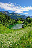 Seewaldsee mit Lechquellengebirge im Hintergrund, Seewaldsee, Biosphärenreservat Großes Walsertal, Bregenzerwaldgebirge, Bregenzerwald, Vorarlberg, Österreich