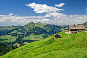 Alpe Oberpartnun mit Bregenzerwaldgebirge, Biosphärenreservat Großes Walsertal, Lechquellengebirge, Vorarlberg, Österreich