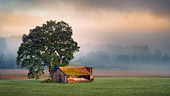 Barn in autumn mood in the morning light at sunrise, Bernried, Bavaria, Germany