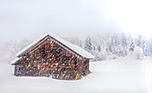 Schneelandschaft bei Schneefall in Winterlandschaft mit Hütte, Bayern, Deutschland