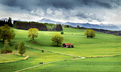 Meadows in Bavaria with mountain views, Antdorf, Bavaria, Germany