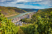 Der Rhein mit Blick auf Oberwesel, Rheinland-Pfalz, Deutschland