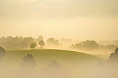 On the Hohen Peißenberg in the September morning fog