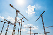 Construction cranes, Hafencity, Hamburg-Mitte, Hamburg, Germany