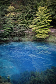 Blautopf in Blaubeuren, Alb-Donau district, Swabian Alb, Baden-Wuerttemberg, Germany, Europe