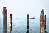 View of the fishing huts on stilts of the fishermen of Pellestrina in the Venetian lagoon, Pellestrina, Veneto, Italy, Europe