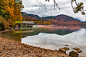 Alpsee bei Füssen, Bayern, Deutschland